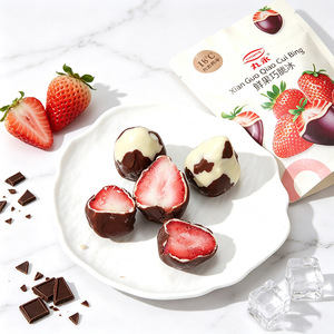 Gelato alla Fragola Congelato con Doppio Rivestimento al Cioccolato, Dessert di Alta Qualità, Etichetta Personalizzata, Spedizione Rapida in Tutto il Mondo - Product Image 4
