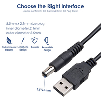 Adaptateur de prise mâle USB vers DC 5,5 mm, câble de charge