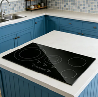 Plaque en verre microcristallin noir pour cuisinière à induction, plaque de cuisson en verre pour cuisinière électrique domestique, taille personnalisée OEM