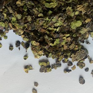 Fu Ping - Lemna Minor (Lemna Minor) Seca, Cruda, Silvestre y Natural al <span class=keywords><strong>por</strong></span> <span class=keywords><strong>Mayor</strong></span> - Product Image 2