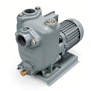 Pompe auto-amorçante Satanoto 760-49, 1 CV, moteur électrique triphasé, raccord à bride, sortie 1 pouce - Product Image 4