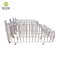 Nouvel équipement d'élevage porcin : Équipement d'élevage automatique de porcelets, comprenant des boxes de gestation et des cages de mise bas, galvanisé à chaud.
