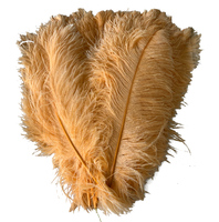 Kaki Naturel Plume Plumes D'autruche pour Fête Carnaval Maison De Mariage Pièce Maîtresse De Noël Vase Décor De Vacances DIY Artisanat Floral