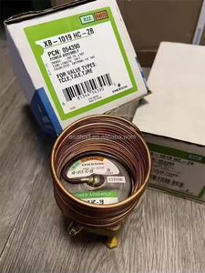 Vanne d'expansion thermique Copeland ALCO XB-1019 HC-2B 1/4" - Product Image 5