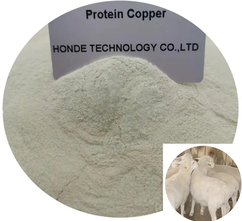 High QUALITY FEED Additives CHELATED PROTEIN COPPER VERIFIED China Spirulina Flat Fish Feed Chicken Feed Light Green Powder >25%