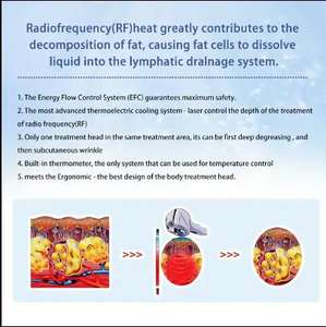 Fat Lady Reducing Machine 360 Collagen Gun Beauty Equipment Slimming Equipment Eyes Care Wrinkle Beauty Equipment - Product Image 4