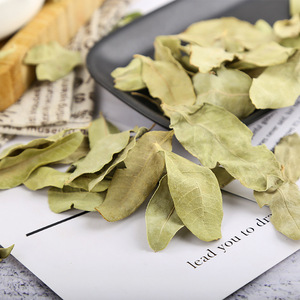 Foglie di Apocynum Venetum Essiccate Senza Zolfo OEM, Materia Prima Erboristica per Tè Benessere e Estratti Vegetali - Product Image 4