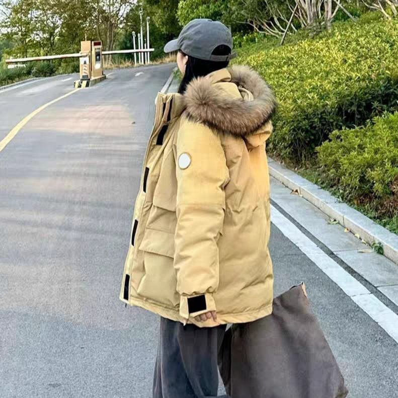 โกลเด้น