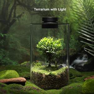 Terrarium en verre <span class=keywords><strong>de</strong></span> bureau avec lumière <span class=keywords><strong>de</strong></span> croissance pour plantes succulentes, <span class=keywords><strong>mousse</strong></span>, paysage miniature, <span class=keywords><strong>aquarium</strong></span> pour poissons Betta - Product Image 3