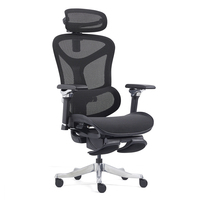 Chaise de bureau ergonomique Z-E2408HG entièrement en maille, chaise de direction moderne en tissu, accoudoirs réglables 6D, appuie-tête réglable 4D