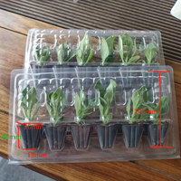 Boîte d'expédition R-PET transparente/6 plantes