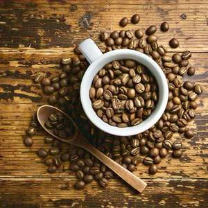 เมล็ดกาแฟโรบัสต้าออร์แกนิกเวียดนามคุณภาพพรีเมียม คั่วอ่อน รสขม รับผลิตแบบ OEM แบรนด์ส่วนตัว คั่วบด จำหน่ายจำนวนมาก - Product Image 6