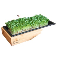 Kit de plantation de microgreens à arrosage automatique commercial plateau de Pot de fleur de pépinière de jardin d'intérieur pour la culture de microgreens