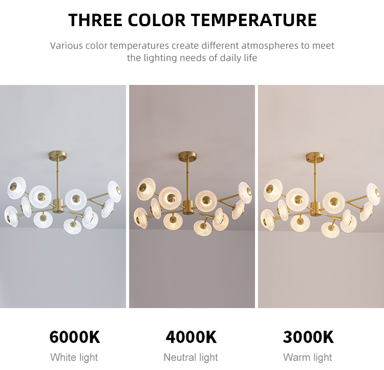 Nordic Golden Color Acrylic Decorative Modern Led Chandelier Pendant Lamp For Indoor Lighting