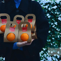 Herbruikbare kraftpapieren fruitverpakking met handvat voor één sinaasappel en voor kerstcadeausets - feestelijke verpakking