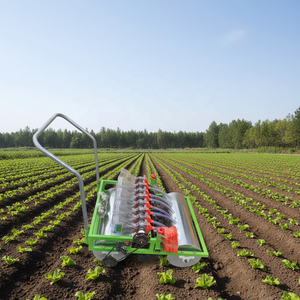 Seminatrice manuale per ortaggi, un ottimo strumento per la semina di cavoli, ravanello e altre verdure a foglia. - Product Image 4