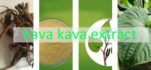Extracto de Raíz de Kava <span class=keywords><strong>Kavakava</strong></span> al por Mayor, en Polvo, 10% 30% de Kavalactonas - Product Image 2