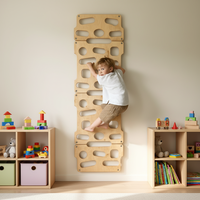 Mur d'escalade en bois pour enfants, intérieur/extérieur, inspiré de Montessori, réglable en hauteur, panneau d'escalade pour tout-petits, aire de jeu active