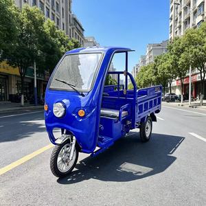 Triciclo Elettrico Personalizzato 60V Best Seller con Display LCD, Triciclo <span class=keywords><strong>a</strong></span> 3 Ruote Motorizzato 60V con Video - Product Image 2