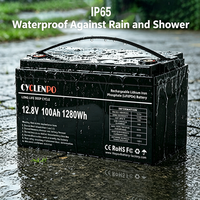 Baterai LiFePO4 12V 100Ah dengan Bluetooth BMS CAN RS485 Baterai Lithium Pintar untuk Pemantauan Aplikasi Seluler Solar RV UPS.