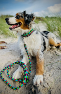 Hund hundehalsband lederhundehalsband hunde schleckmatte christmas pet dog geschirr prodotti più venduti guinzaglio cane con col - Product Image 6