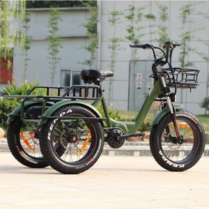 3 ruote <span class=keywords><strong>bici</strong></span> <span class=keywords><strong>elettrica</strong></span> Cargo Mid Drive 500 w1000w pneumatico grasso triciclo elettrico con cestello posteriore veloce consegna <span class=keywords><strong>bici</strong></span> <span class=keywords><strong>elettrica</strong></span> - Product Image 3