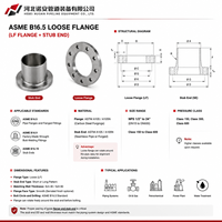 Brides à joint de superposition forgées en acier inoxydable ANSI B16.5 personnalisées