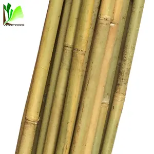 High Quality Cheap Round Dry Natural Straight Raw Green Tonkin Bamboo Poles Canes Stakes Stick for Interior Decoration