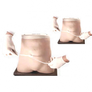 Modelo de simulador de cavidad de diálisis peritoneal de maniquí médico de enseñanza humana para educación y entrenamiento ambulatorio continuo - Product Image 1