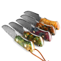 Couteau à éplucher en acier Damas 67 couches de haute qualité, couteau à lame fixe tranchante pour fruits et couteau de chasse compact pour le camping en plein air