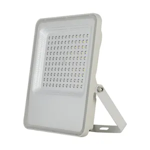 Drop Shipping Aluminum Housing Spot Outdoor Waterproof 10W 20W 30W 50W 100W Floodlight Par30 Flood Led Light