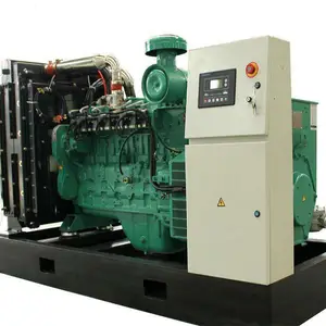 120kw 130kw 150kva 160kva Biomassa Biogas Gas Motor Vermogen Generator