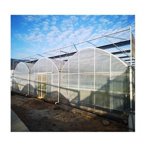 Sistema agricolo di coltura idroponica della serra per pomodoro/lattuga/pepe/foglia verde/erbe che crescono - Product Image 2