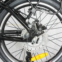 Vélo électrique de ville pliant, vélo électrique de 20 pouces, 36V, 250W