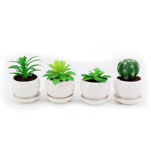 Plantes succulentes artificielles modernes <span class=keywords><strong>en</strong></span> plastique vert, cactus figue de Barbarie, mini plantes artificielles <span class=keywords><strong>en</strong></span> <span class=keywords><strong>pot</strong></span> avec <span class=keywords><strong>pot</strong></span> <span class=keywords><strong>en</strong></span> céramique - Product Image 1