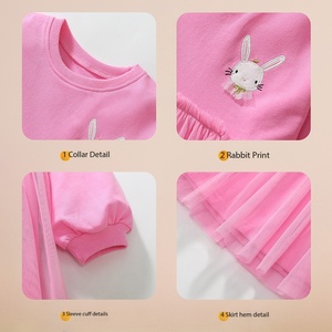 Vestido de Sudadera Rosa para Niñas con Bordado de Conejito, Manga Larga, Tul, Tutú, Vestido Informal de Primavera y Otoño para Niñas - Product Image 6