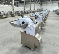 Industriële voedselveilige multifunctionele wortelgroentesnijmachine, elektrische aardappel- en wortelsnijder, -dicer voor fruit en groenten
