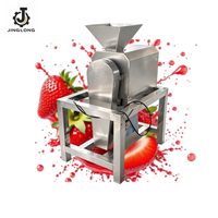 Industriële fruitpers voor mango's, industriële schroefpers, sapcentrifuge, sapmachine
