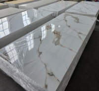 Panneau mural en PVC UV de luxe - Écologique, durable, imperméable, ignifuge, installation facile, finition haute brillance pour les murs d'hôtels et d'appartements