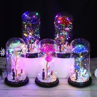 Décoration en gros artificielle Rose éternelle Led fleur conservée dans un dôme en verre avec lumière pour proposition de saint-valentin