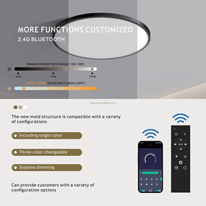 Dễ dàng cài đặt siêu mỏng ánh sáng Trần mạ điện Nickel quá trình trong nhà Acrylic ledceiling ánh sáng cho phòng ngủ - Product Image 5