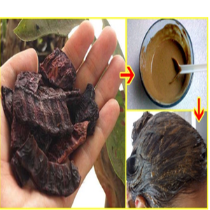 Meilleure qualité poudre de Shikakai à l'aloe vera soin des cheveux poudre à base de plantes personnalisable marque de distributeur - Product Image 4