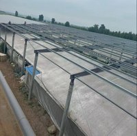 Poulailler préfabriqué moderne avec murs isolés et ventilation du toit, idéal pour l'élevage avicole commercial