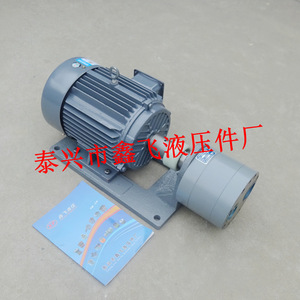 Unidad de Motor de Bomba de Engranajes Helicoidales de Gran Caudal XLB de Hierro Fundido para Lubricación de Máquinas Herramienta - Product Image 3
