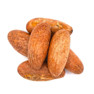 AGRIMAX LLC, Cola Amarga de Calidad de Exportación 100%, Ingredientes Naturales Puros, Grado Superior, Empaque Personalizado, Venta al Por Mayor a Granel, EE. UU. - Product Image 2