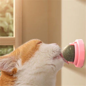 <span class=keywords><strong>Chats</strong></span> 360 boule rotative cataire mur ventouse léchage jouets cataire boules de sucre boule Interactive <span class=keywords><strong>chats</strong></span> jouet à la menthe - Product Image 2
