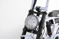 Vélo électrique tout suspendu personnalisable avec pneus larges de 20 pouces, moteur Bafang 750W 48V, batterie au lithium, pour neige et plage