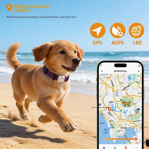 Mini Localizzatore GPS Wireless per Gatti con Controllo APP Anti-smarrimento, Tag GPS per Animali Domestici per Ambienti Interni e Famiglie con Più Animali - Product Image 5