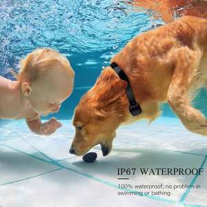 ปลอกคอฝึกสุนัขไฟฟ้าช็อตควบคุมระยะไกล800เมตรพร้อมจุดหยุดเห่าชาร์จได้กันน้ำป้องกันการเห่า - Product Image 5