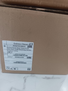 Interruptor de Flujo Térmico Flowphant T DTT31 de Endress Hauser 100% Original, OEM, Acero Inoxidable 316L, Protección IP66 para Flujo - Product Image 4